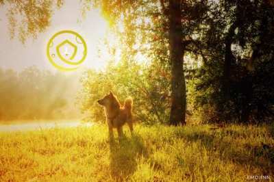 Serendipity -- A Safemoon NFT I made to show my love to the community!