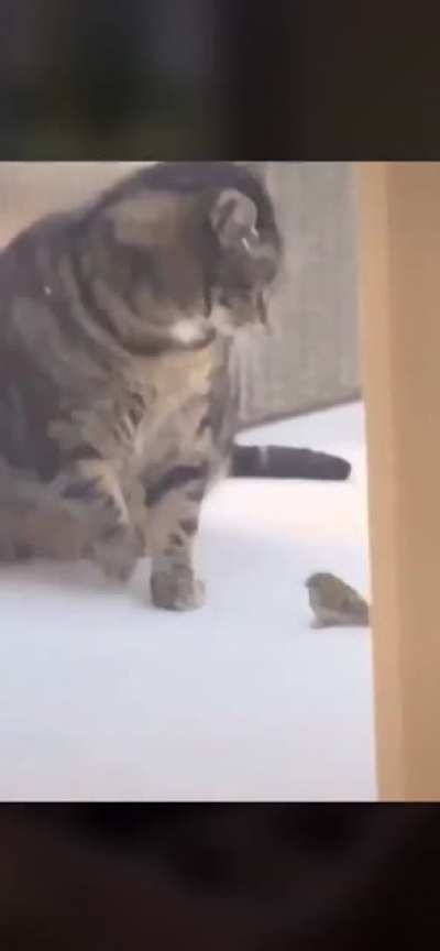 He was just trying to play