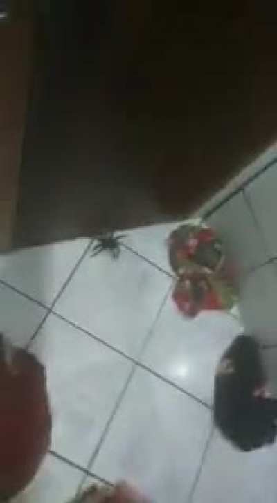 Medo genu&iacute;no