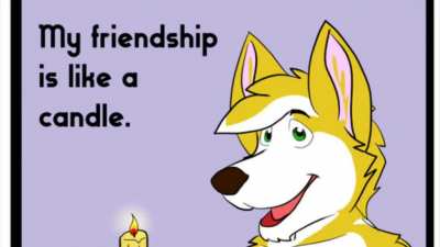 Video_irl