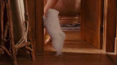 Sandra Bullock