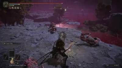 62 Vigor, 2k HP, got one shot by a single dog :/ (lost 200k runes)