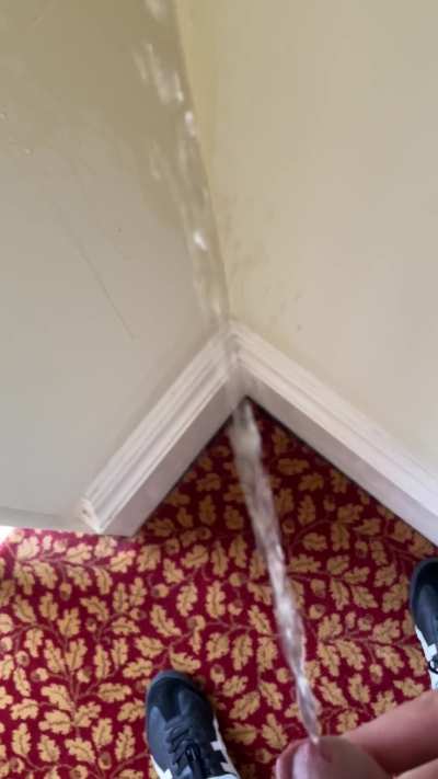 Soaking the stairs