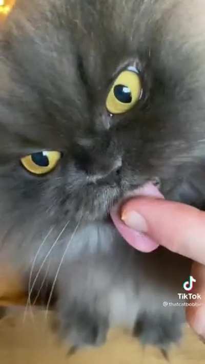Noises