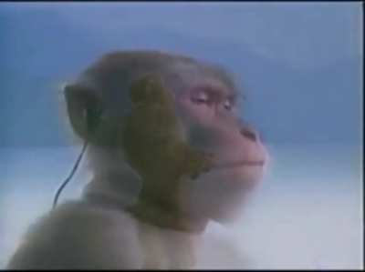 What it feels like listening to Dany's ADWD chapters