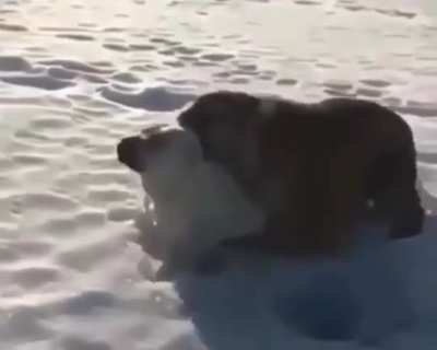 Maybe Maybe Maybe
