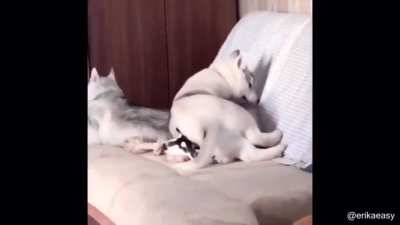 An interesting title