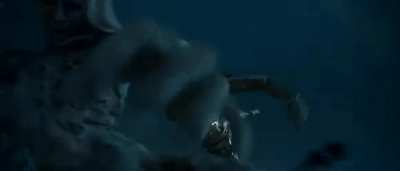 OTHER: Cheetah, the Apex Predator