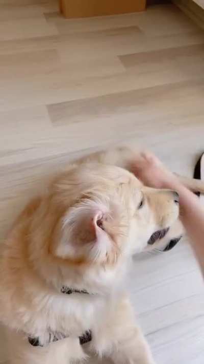 Slap that butt