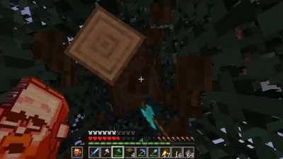 That is the most I have ever been scared by a creeper