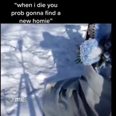 True homies