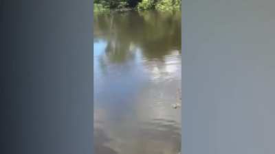 esse v&iacute;deo &eacute; lindo