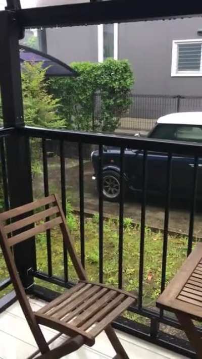 My mini and the rain. May 2020.