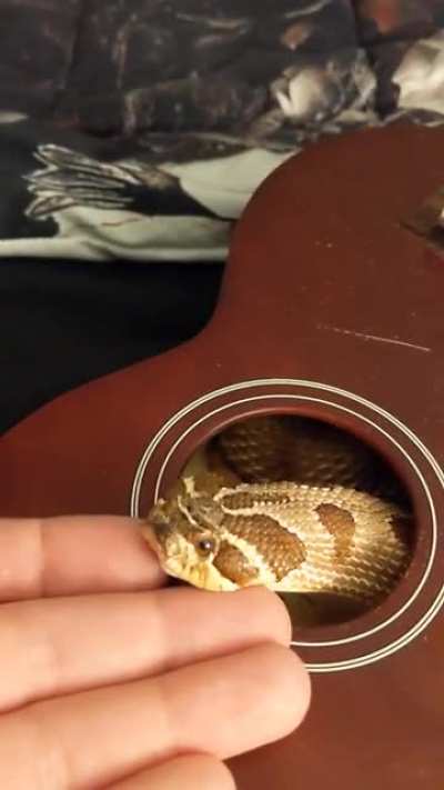 "why did you name her Turd Blossom?" (sound on)