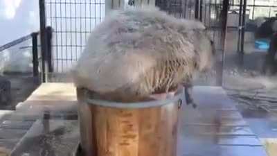 Ahh, bath time