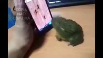 S&oacute; par aparece no degusta&ccedil;&atilde;o de meme souzones sou seu f&atilde;
