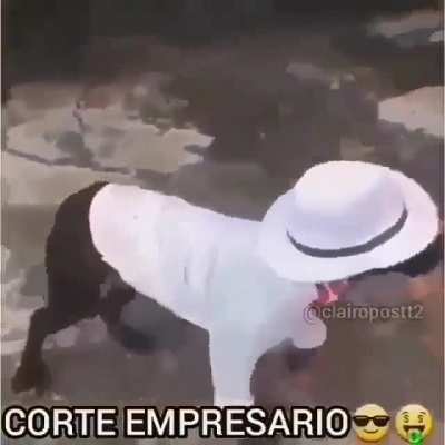 Afirmativamente, amo esta comunidad porque me hacen olvidar mi tristeza y me hacen sentir acompa&ntilde;ado por unas horas. Esta pal chat y pal admin 💜💜💜