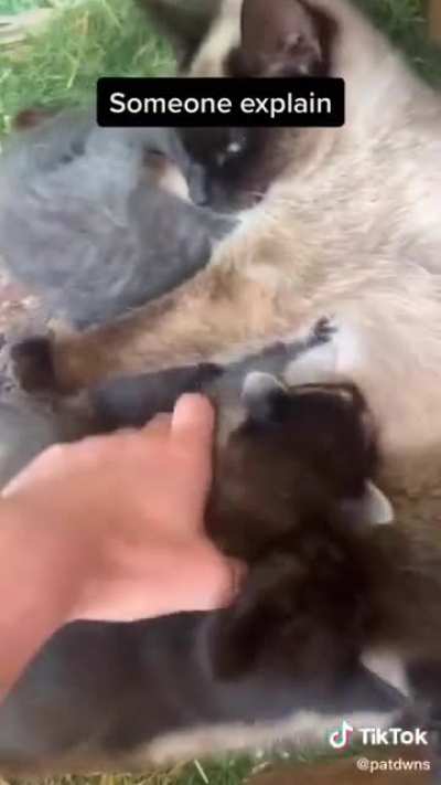 Maybe Maybe Maybe