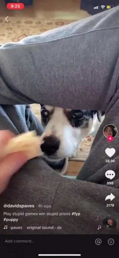 Кусь