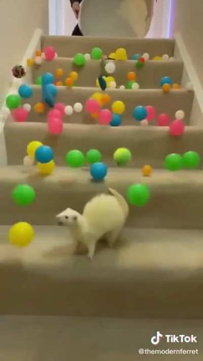 Crushed in an avalanche of toys.