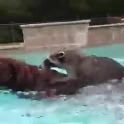 Поехали