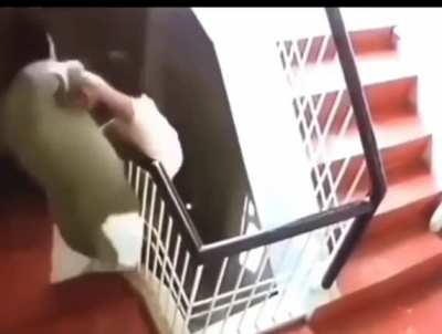 Saved him from falling