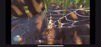 First experience with pets didn&rsquo;t go too well...
