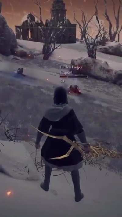There are Elden Ring pro players and then there's this guy