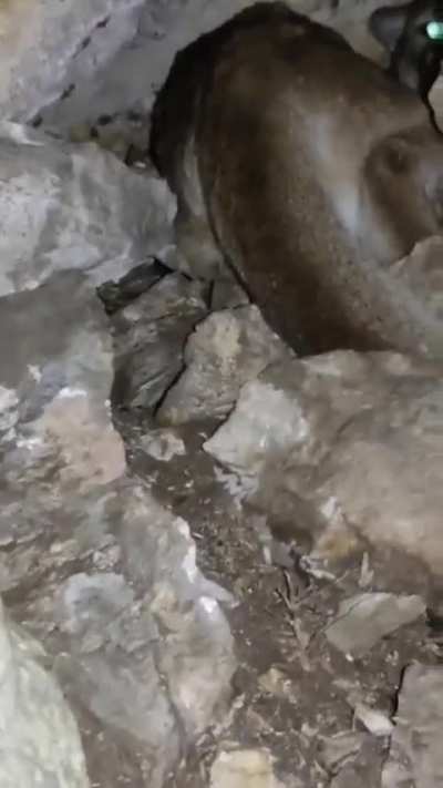 Exploring natural caves in America is always 