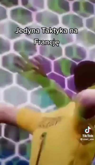 Poland's best tactics against france