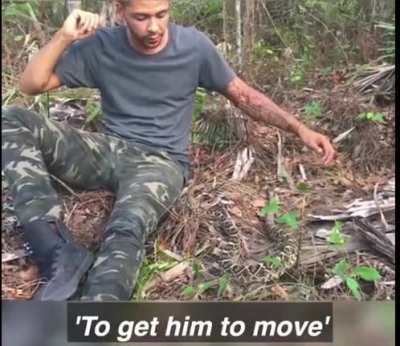 Human escapes surprise face to face encounter with rattlesnake
