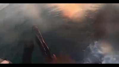 Israeli footage compilation from 7 Oct. - 26 March &lsquo;24(music added by source)