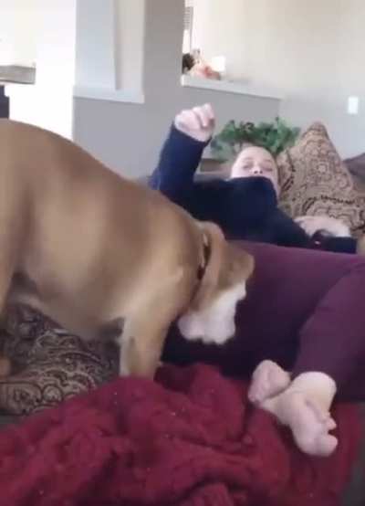blursed_sniff