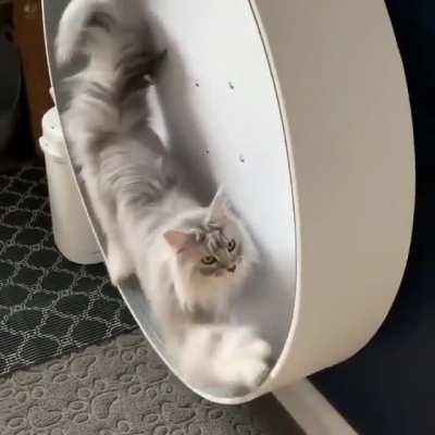 cute