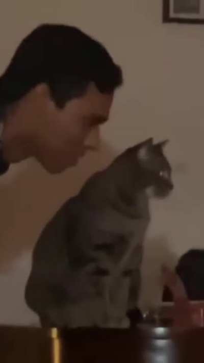 Damn you human!