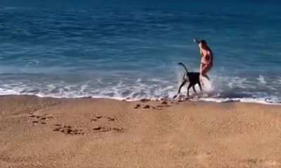Bouncy