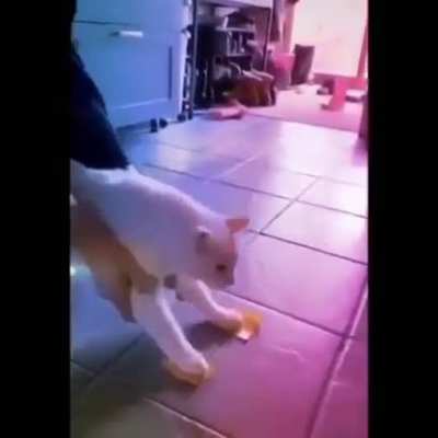 Get dancing!