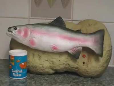 F&icirc;sh
