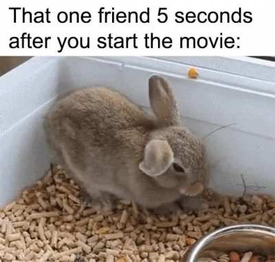 I guess I'll watch it by myself then