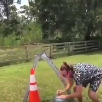 To the moon