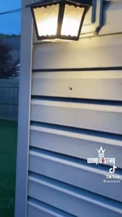 I hate spiders…