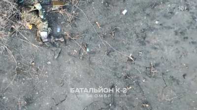 Ukrainian drones finish off Russian soldiers scattered across fields after an unsuccessful assault. Uncensored version published on May 26 by K-2 combat group of the 54th separate mechanized brigade.