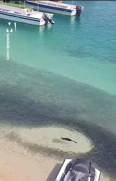 &ldquo;Don&rsquo;t worry, there&rsquo;s plenty of fish in the sea.&rdquo;