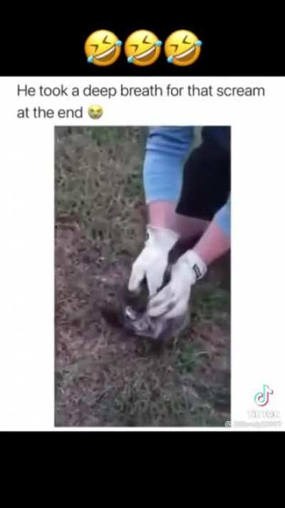 So cute