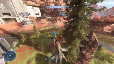 Only in Halo