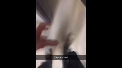 aw shit