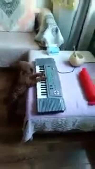 Music in his soul