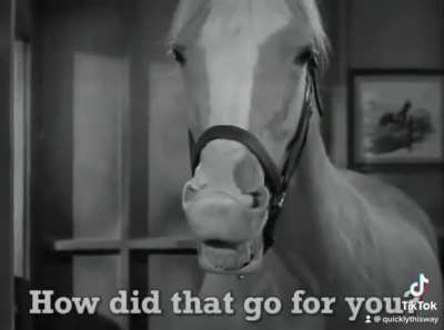 What is this night-mare we are living in?