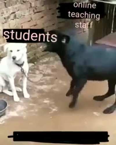 Daaaaaaannnnnnnnnnnk