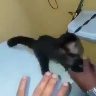 Que isso tico vai ficar travado a&iacute; mano 😟